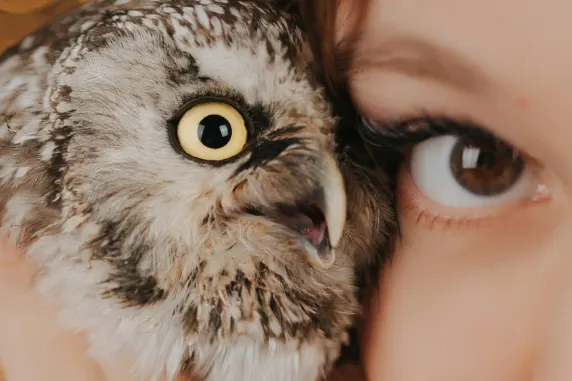 보아보아 카지노 지원